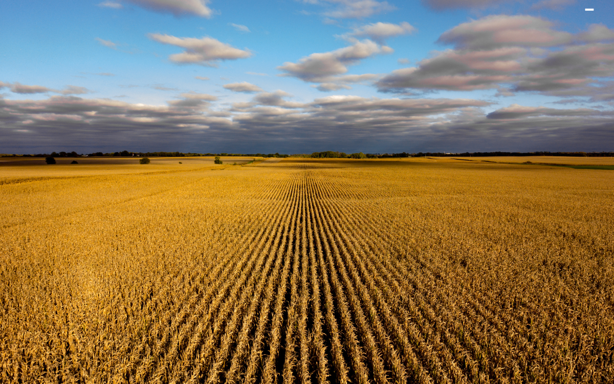 Why Out-of-State Buyers Are Investing in Southwest Oklahoma Land